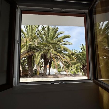 Phoenix Canariensis Сан-Хуан-де-ла-Рамбла Экстерьер фото