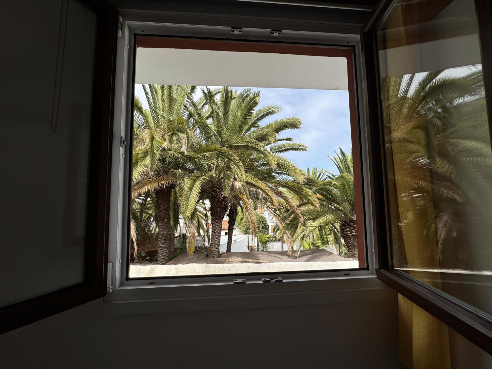 Phoenix Canariensis Сан-Хуан-де-ла-Рамбла Экстерьер фото