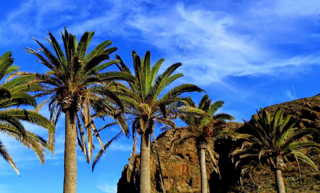 Phoenix Canariensis Сан-Хуан-де-ла-Рамбла Экстерьер фото